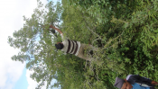 Collecting Herbs